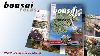 Bonsai Focus Magazine