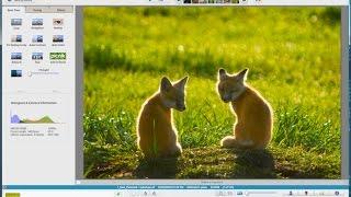 Google Picasa Free Photo Editing Program Tutorial