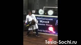 Tesla ПУШКА