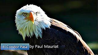  Paul Mauriat - El Condor Pasa（老鷹之歌）