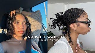 MINI TWISTS on Natural Hair | PROTECTIVE STYLE | Pria Symone