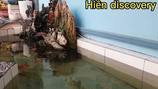 Hiền discovery setup xong bể cá. quý vị và các bạn cùng view nhé!