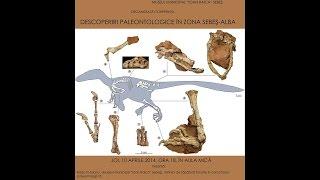 4. Gareth Dyke Cretaceous fossil birds from Oarda de Jos