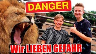 LEBENS-GEFAHR im Serengeti Park  TipTapTube