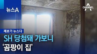 [제보가 뉴스다]SH 임대주택 당첨돼 가보니 ‘곰팡이 집’ | 뉴스A