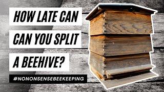 How Late Can You Split A Beehive - When To Make Splits - When To Split Beehives - Late Season Splits