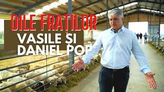 Țurcana de Maramureș. Pasiunea fraților Vasile și Daniel Pop