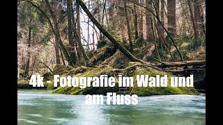 4k - Fotoausflug im Wald und am Fluss