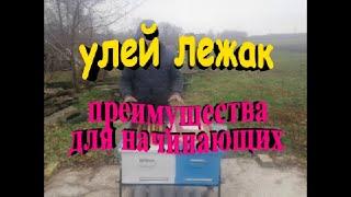 Улей лежак преимущества для начинающих пчеловодов