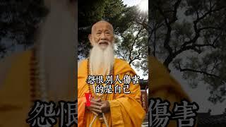 怨恨别人伤害的是自己！#修心 #修心修行 #思维格局 #智慧 #國學智慧 #人生感悟 #人生智慧 #传统文化