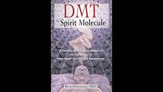 Dmt TSM Dr RS 03 Epilogue