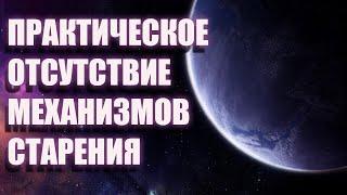 НОВОЕ СОЗНАНИЕ ОСВОБОЖДАЕТСЯ ОТ ЭНЕРГЕТИЧЕСКИХ ВИРУСОВ ПРОШЛОГО | ПРОБУЖДЕНИЕ | ЧЕННЕЛИНГ