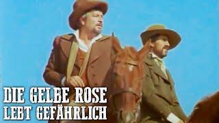 Die Gelbe Rose lebt gefährlich | ACTION WESTERN | Westernfilm | Cowboys | Deutsch