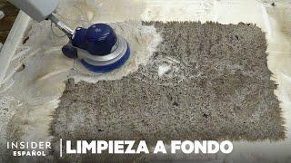 Cómo se limpia a fondo una alfombra llena de gusanos | Limpieza a fondo | Insider