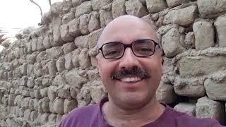 الترقيد الهوائي لنخيل للحصول علي تمر او بلح وفير حلقة ٥٠٨