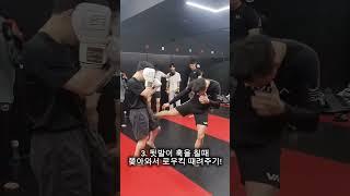 상대 다리를 부시는 기본적인 로우킥 #격투기 #mma #권원일 #복싱 #boxing #taekwondo #ufc #운동 #kickboxing