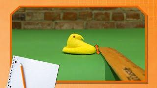 Investigating Peeps: STEM in a Snap