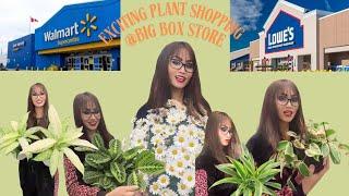 Walmart & Lowe's Exciting Plant Shopping 2025