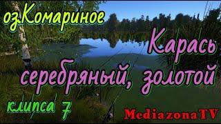#рр4 .оз.Комариное. Карась Серебряный,Золотой . 21.02