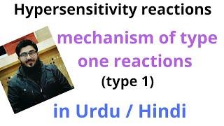 hyper sensitivity reactions type one (hypersensitivity )IgE mediated hypersensitivity reactions urdu