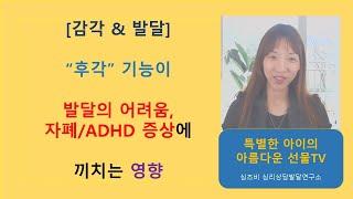 [감각통합] 후각 기능이 발달의 어려움, 자폐/ADHD 증상에 끼치는 영향