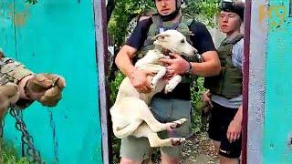 Ex USA Vets Go To Ukraine On Weekends To Rescue Dogs Like It's A Vacation
