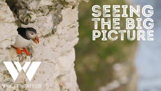 See the big picture to improve your wildlife photography