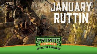 January Ruttin' - Will Kills An Awesome Old Buck With His Bow-Primos Truth About Hunting Season 19