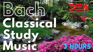 3 Hour Classical Study Music Playlist: Concentration and Better Learning, Focus Music