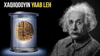 20 Xaqiiqo Oo Kaa Yaabin Doona Oo Ku Saabsan Albert Einstein | Wax Ka Barro