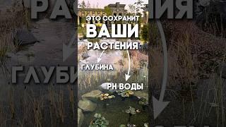Это точно сохранит ваши растения в пруду!