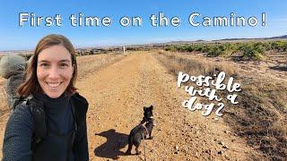 Walking the Camino de Santiago with a dog (and a tent!) | Via de la Plata: Salamanca to Zamora