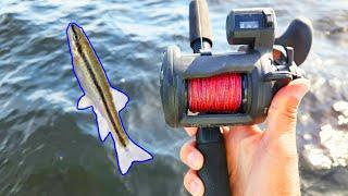 How to Troll Lead Core with Live Bait for Lake Trout and Salmon