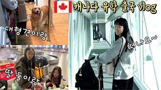 캐나다 유학 출국 브이로그️ 두딸이랑 + 대형견 강아지까지 데리고 캐나다로 유학가기! 개도 사람도 난생 처음 타보는 14시간 비행.. 우리 잘 할수 있겠지?