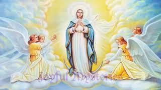 (MON & SAT) JOYFUL MYSTERIES HOLY ROSARY: Mother Mary Pray for Us