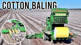 How Cotton Harvesting Works | Australian Farming | Vlog 286