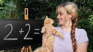 A delightful proof that 2+2=4