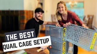 The BEST Quail Cage | Build and Review of Hatching Time Quail Cage