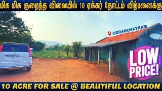 10 ஏக்கர் நிலம் விற்பனைக்கு |10 ACRE FOR SALE#beautifullocation #landforsale #oddanchatram