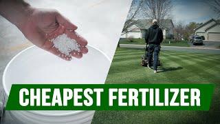 Cheapest Fertilizer For Your Lawn + Back Yard Update!