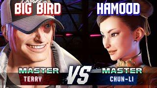 SF6 ▰ BIG BIRD (Terry) vs HAMOOD (Chun-Li) ▰ High Level Gameplay