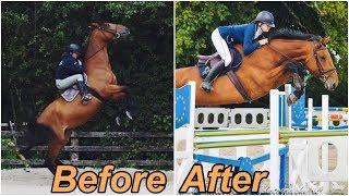 FIONA'S 1 YEAR PROGRESS // Problem Horse To 1m20 Showjumper