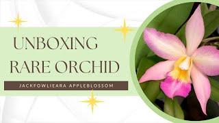 Orchid Unboxing with a Surprise!