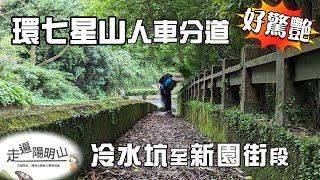 環七星山人車分道 冷水坑至新園街段太驚艷 走遍陽明山尋寶任務 一個人的山林