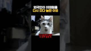 외국인이 바뀐 이태원을 보고 놀란이유