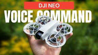 DJI Neo "Voice Command" Demonstration