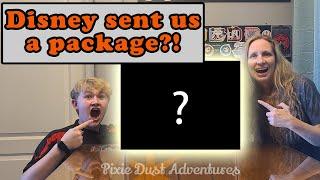 DISNEY sent us something?!  Pixie Dust Adventures