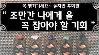 (타로) 조만간 내가 반드시 잡아야할 기회!