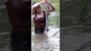 How to catch big fish in nature, Đặng Thủy