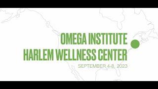 2023 North American Regional Wellbeing Summit for Social Change